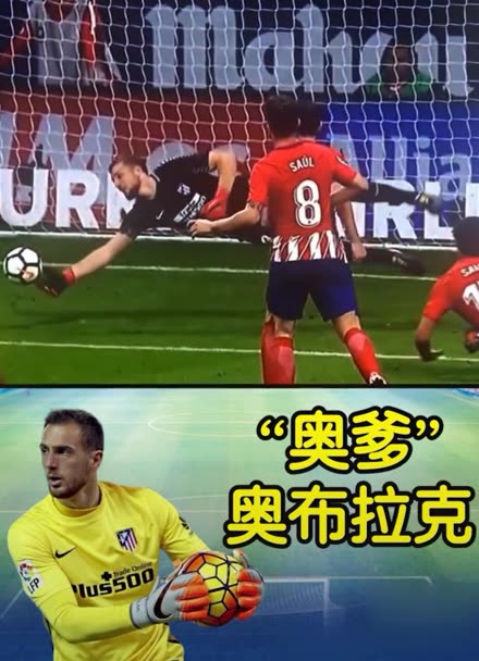 质与竞赛公